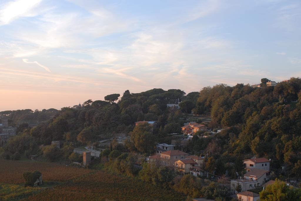 Casa Vacanze Palazzo Primoli 阿里恰 外观 照片